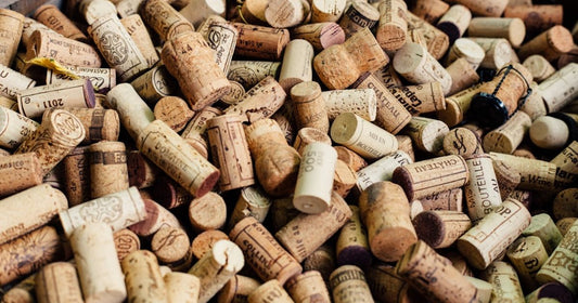 Wine Tasting Across Spain's Diverse Regions