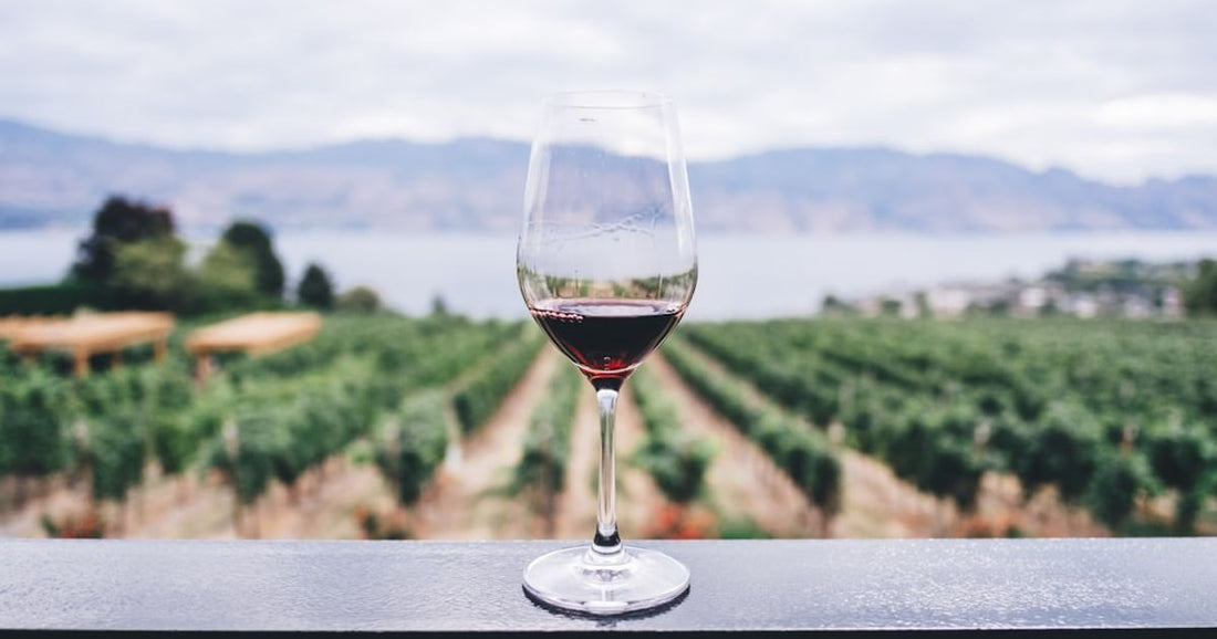 Pairing Bold Red Wines with Meals