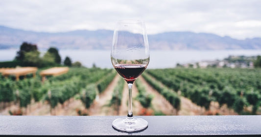 Pairing Bold Red Wines with Meals