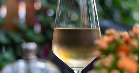 Crafting the Perfect Wine Menu for Your Bar