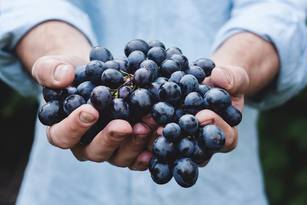 How Long Does Mulled Wine Last?
