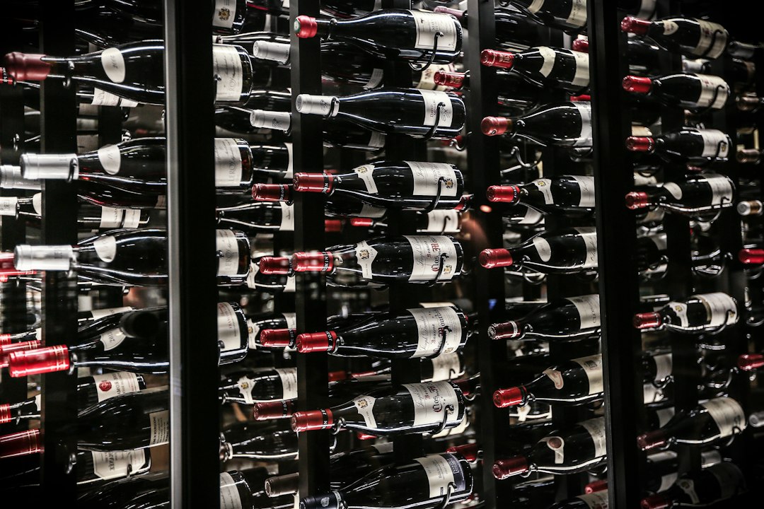 Understanding the Wine Regions of Argentina