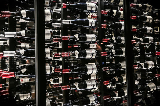 Understanding the Wine Regions of Argentina