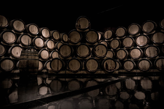Moderate Wine Consumption and Longevity