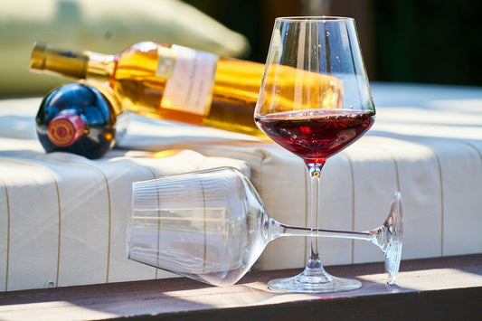 Unveiling the Wines of Argentina's Mendoza