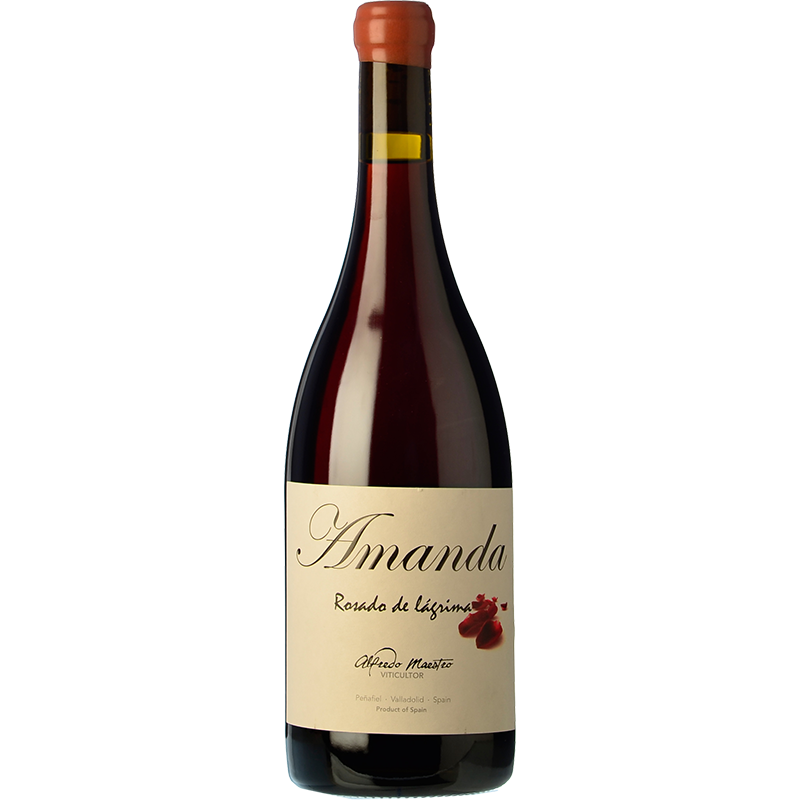 Alfredo Maestro Amanda 2023