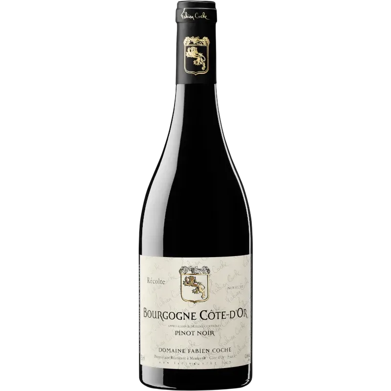 Fabien Coche Côte d'Or Pinot Noir 2023