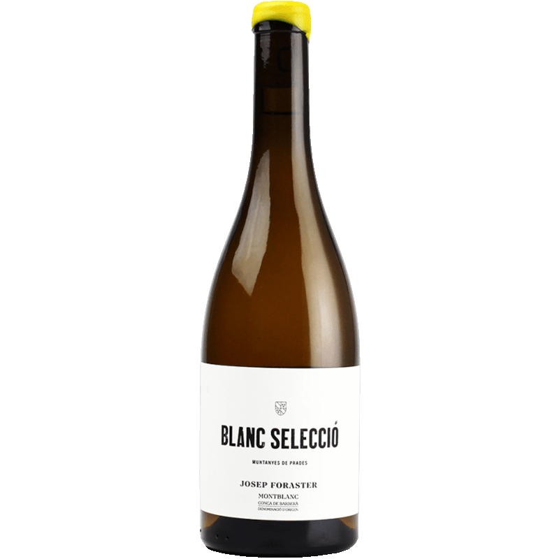 Josep Foraster Selecció Blanc 2024