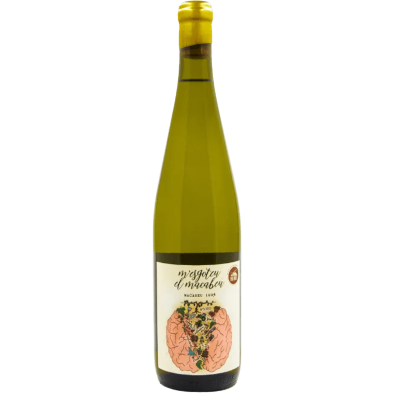 M'Esgoteu el Macabeu 2023