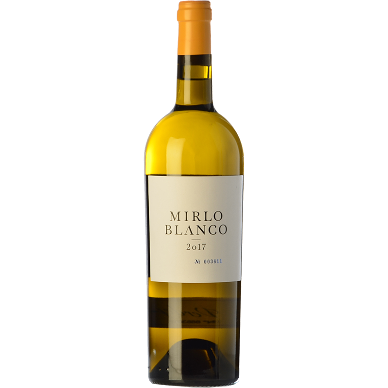 Mirlo Blanco 2024
