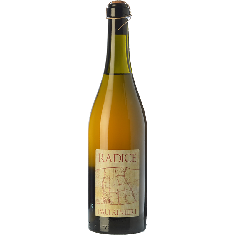 Paltrinieri Lambrusco di Sorbara Radice 2022