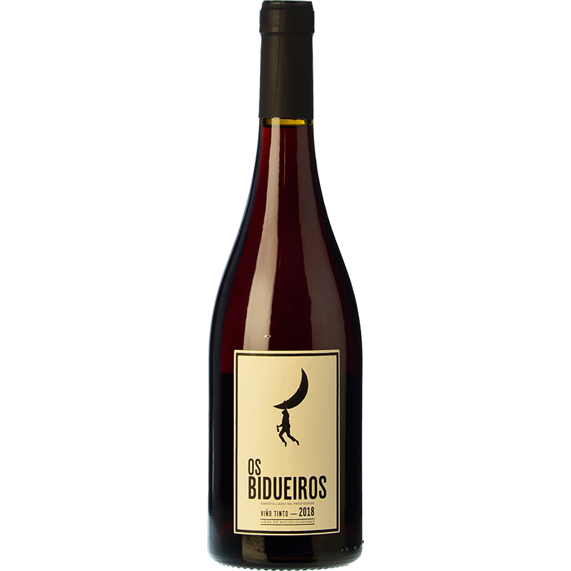 Peixes Os Bidueiros 2019