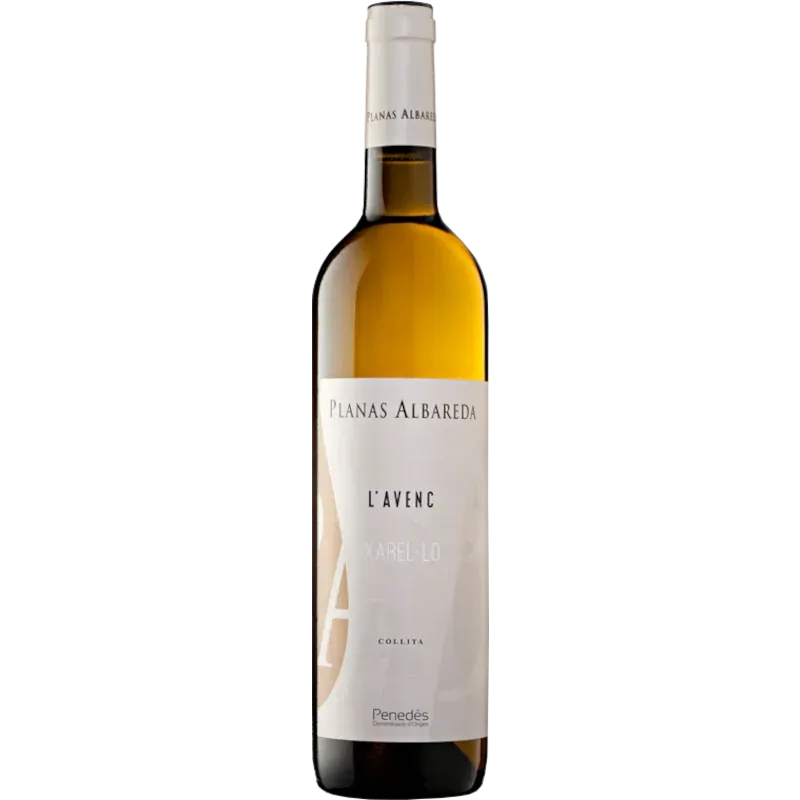 Planas Albareda L'Avenc 2024