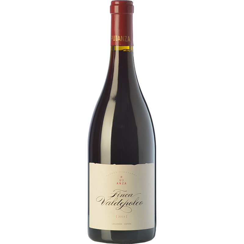 Pujanza Finca Valdepoleo 2020