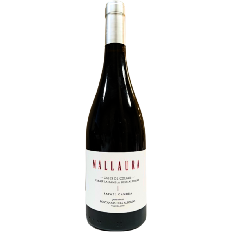 Rafael Cambra Mallaura 2023