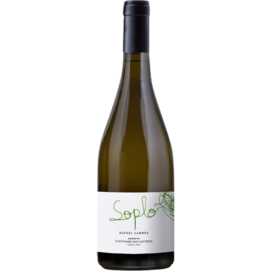 Rafael Cambra Soplo Blanco 2024