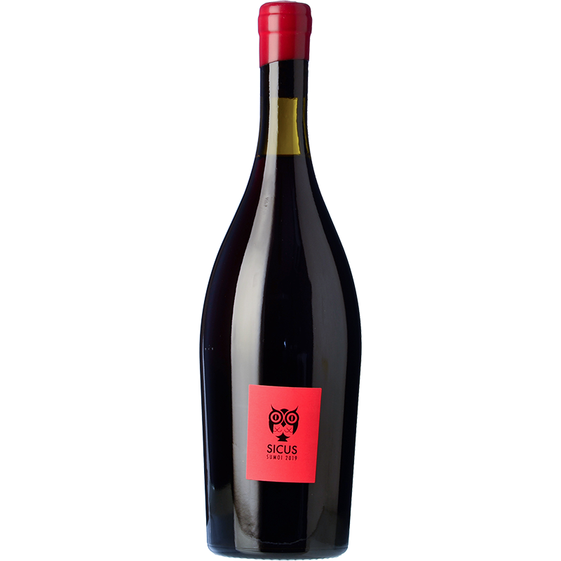 Sicus Sumoi "Àmfora" 2021