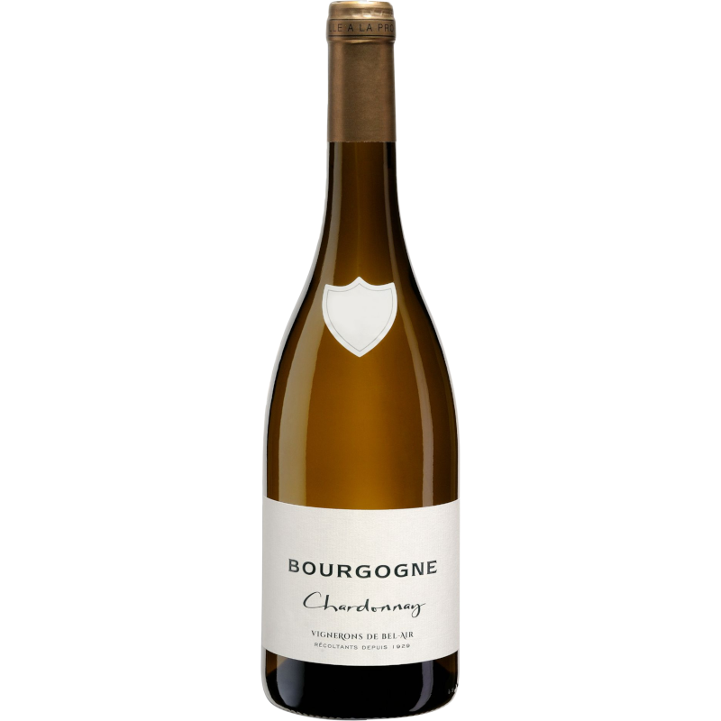 Vinescence Bourgogne Chardonnay 2023