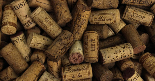 How Climate Influences Wine in Tuscany