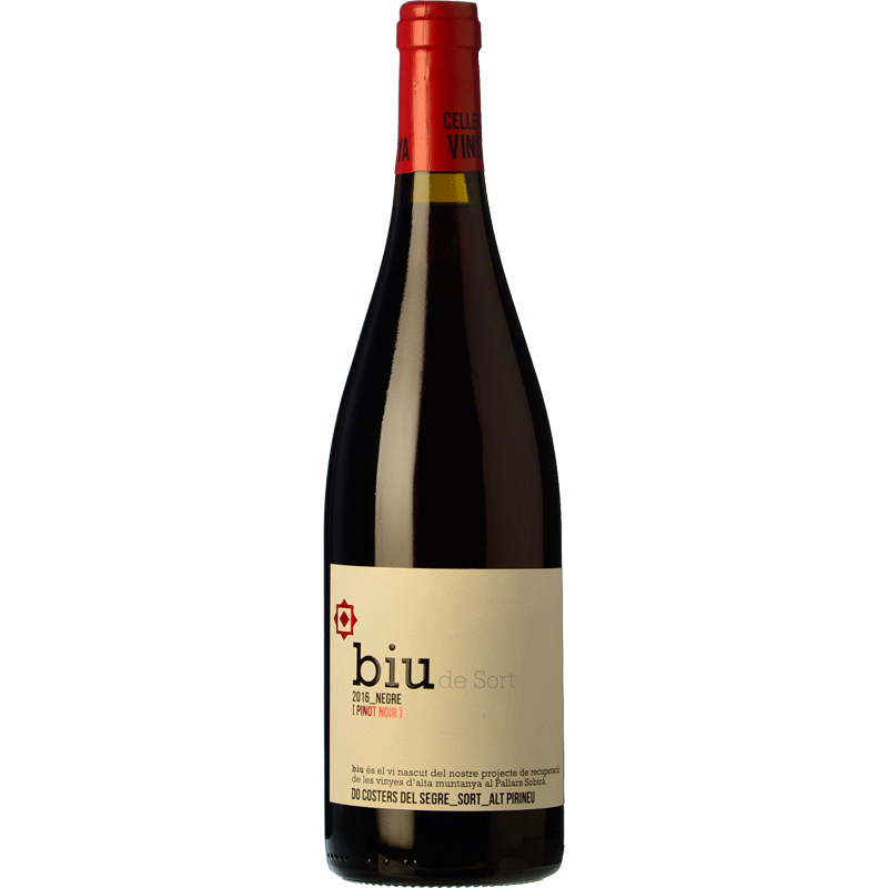 Batlliu Biu Pinot Noir 2023