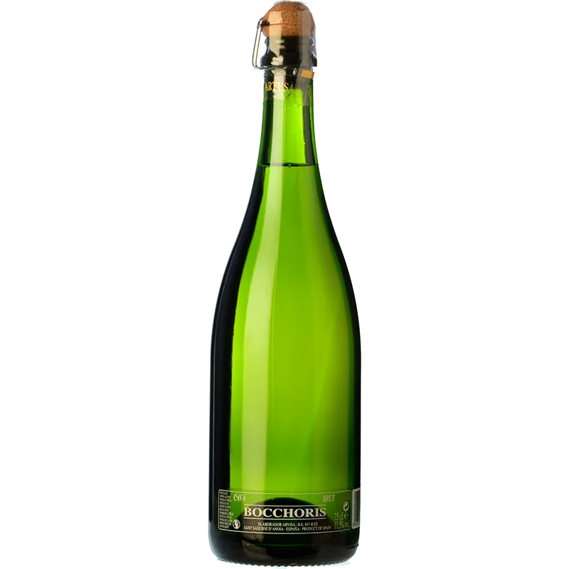 Bocchoris Brut