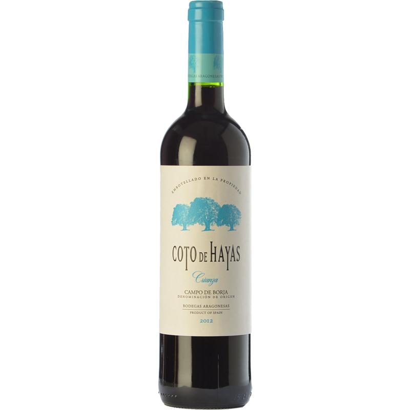 Coto de Hayas Crianza 2021