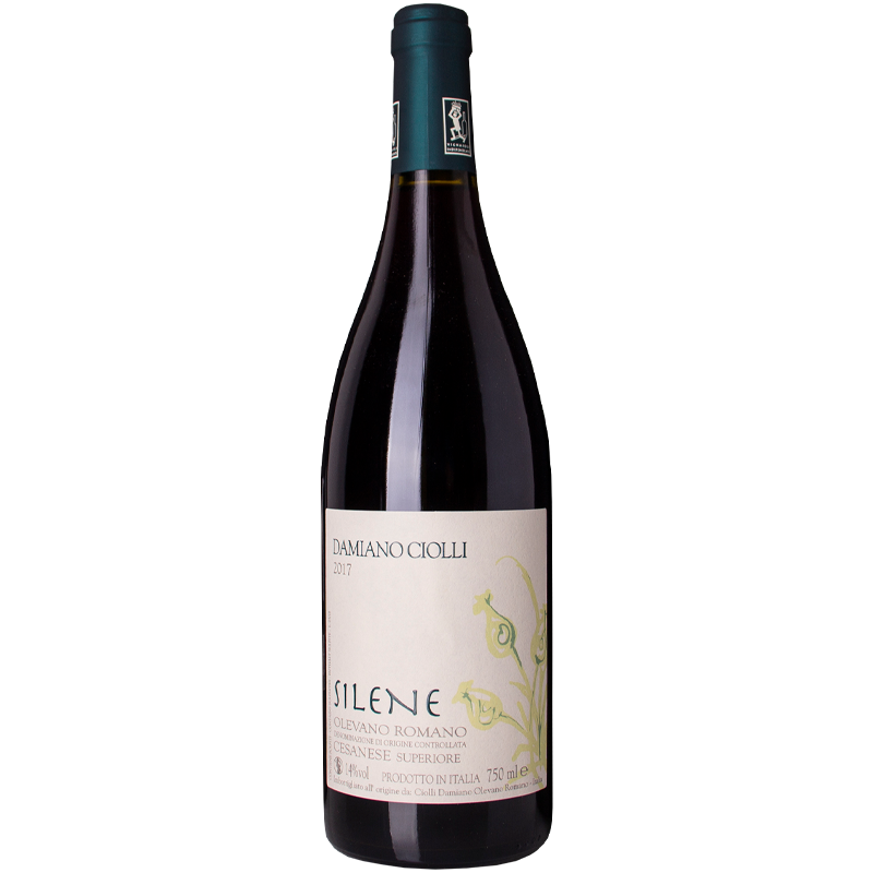 Damiano Ciolli Olevano Romano Silene 2023