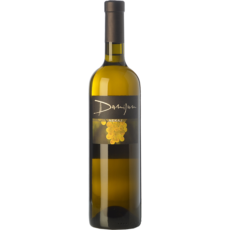 Damijan Podversič Nekaj 2019