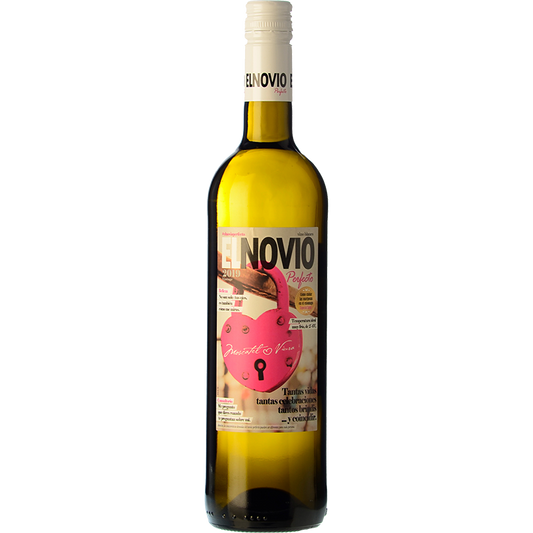 El Novio Perfecto 2024