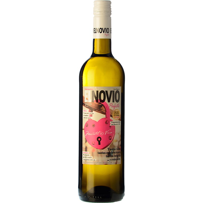 El Novio Perfecto 2024