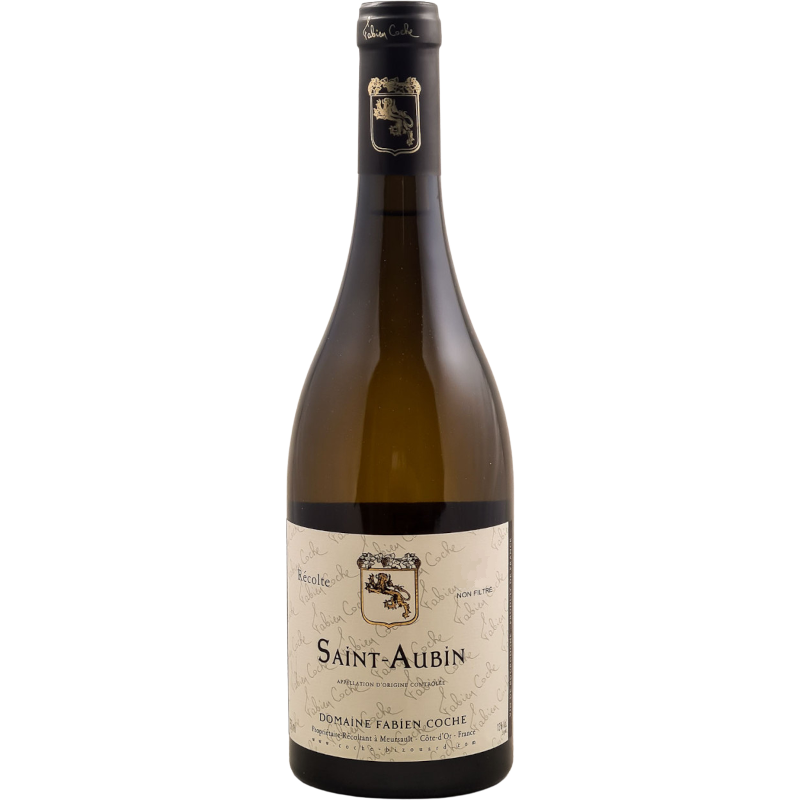 Fabien Coche Saint Aubin 2021