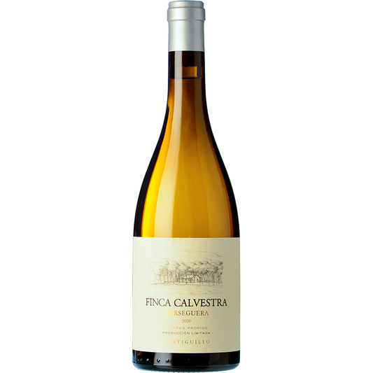 Finca Calvestra 2023