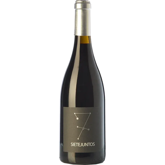 Ismael Gozalo Microbio Sietejuntos Syrah 2022