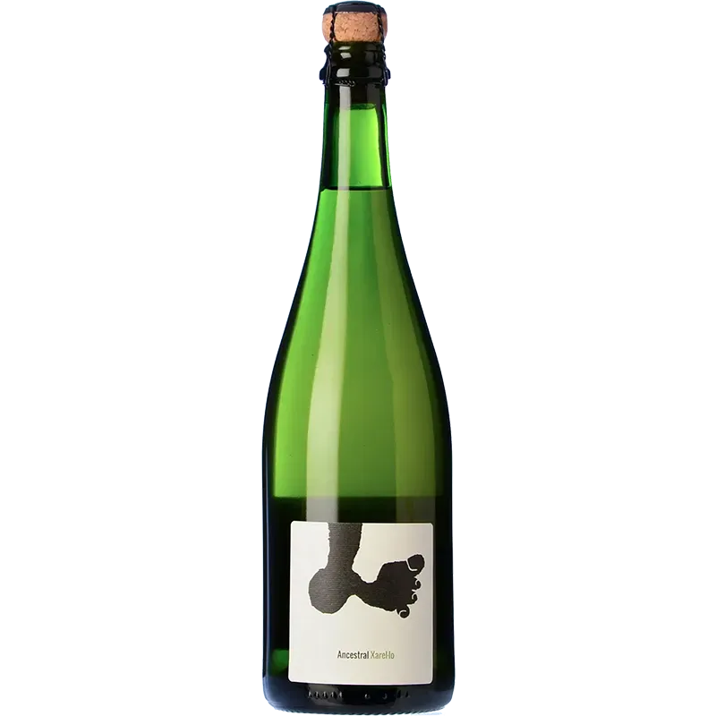 Joan Rubió Xarel·lo Ancestral 2022