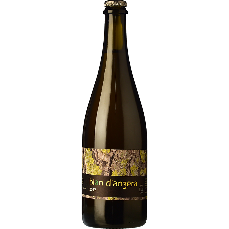 Jordi Llorens Blan d'Angera 2022