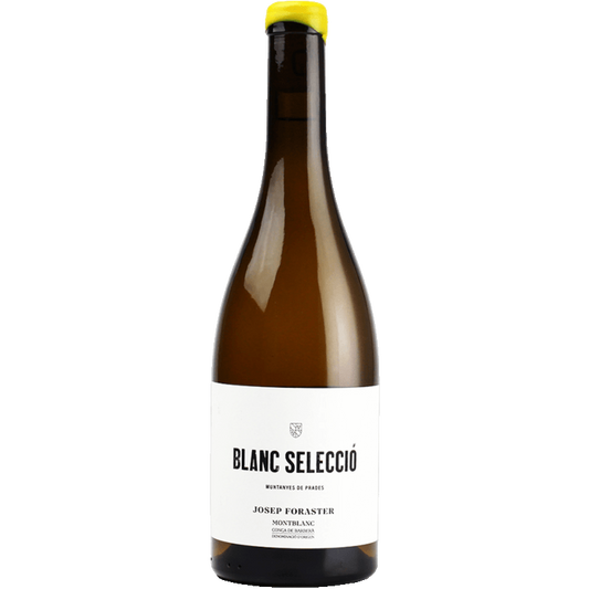 Josep Foraster Selecció Blanc 2024