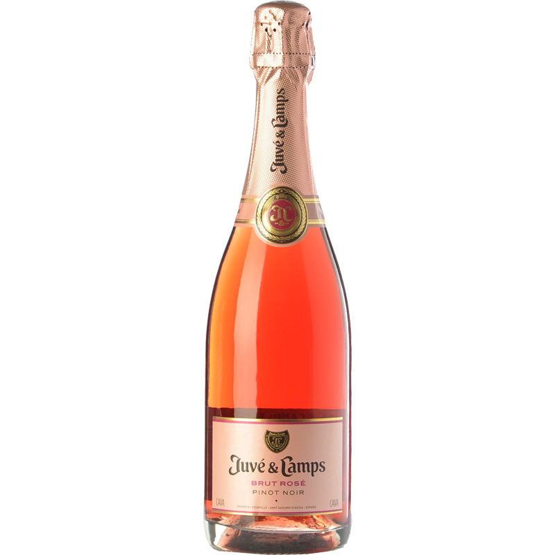 Juvé & Camps Brut Rosé