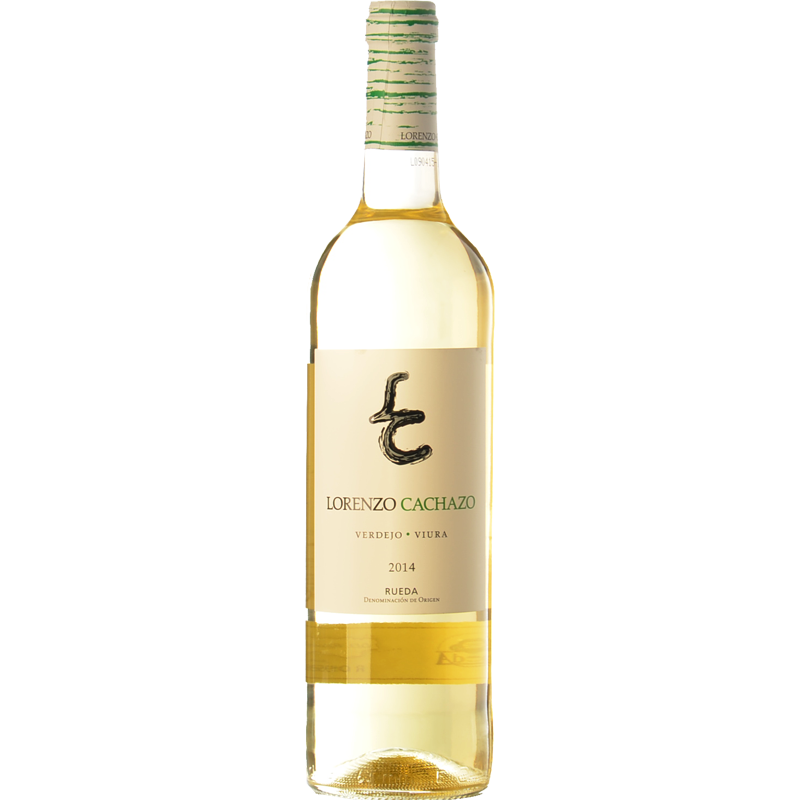 Lorenzo Cachazo Blanco 2024