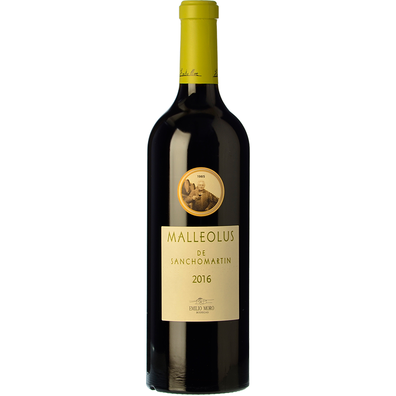 Malleolus de Sanchomartín 2021