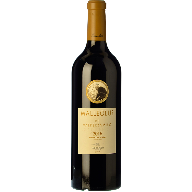 Malleolus de Valderramiro 2021