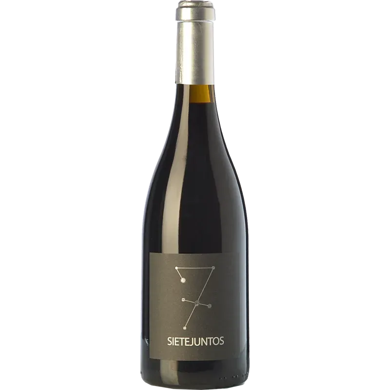 Ismael Gozalo Microbio Sietejuntos Syrah 2022