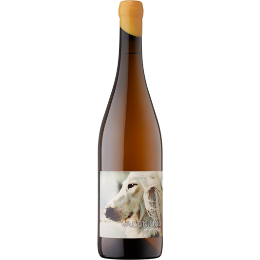 Oriol Rossell Valentino 2024