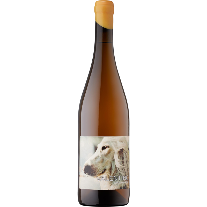 Oriol Rossell Valentino 2024