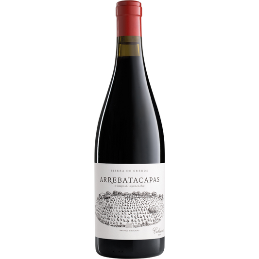 Pegaso Arrebatacapas 2021