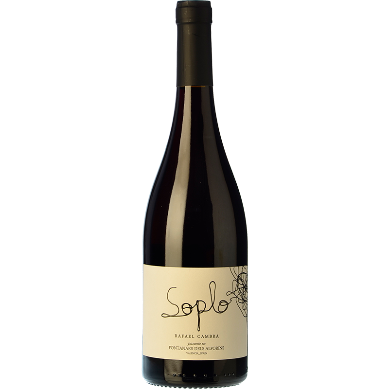 Rafael Cambra Soplo 2024