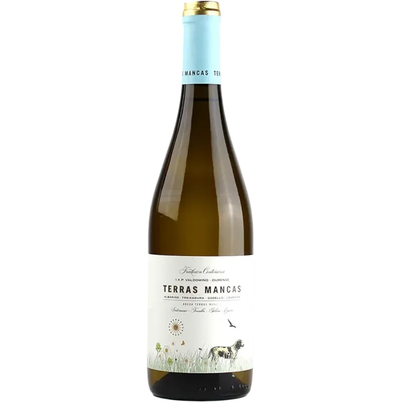 Terras Mancas 2024