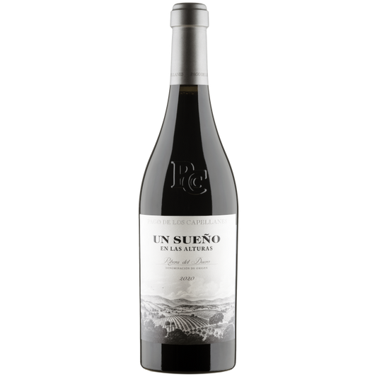 Un Sueño en las Alturas 2021