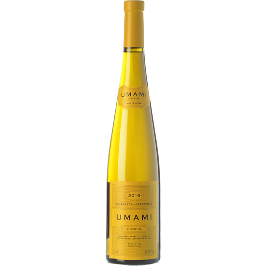 Umami by Bertha 2024