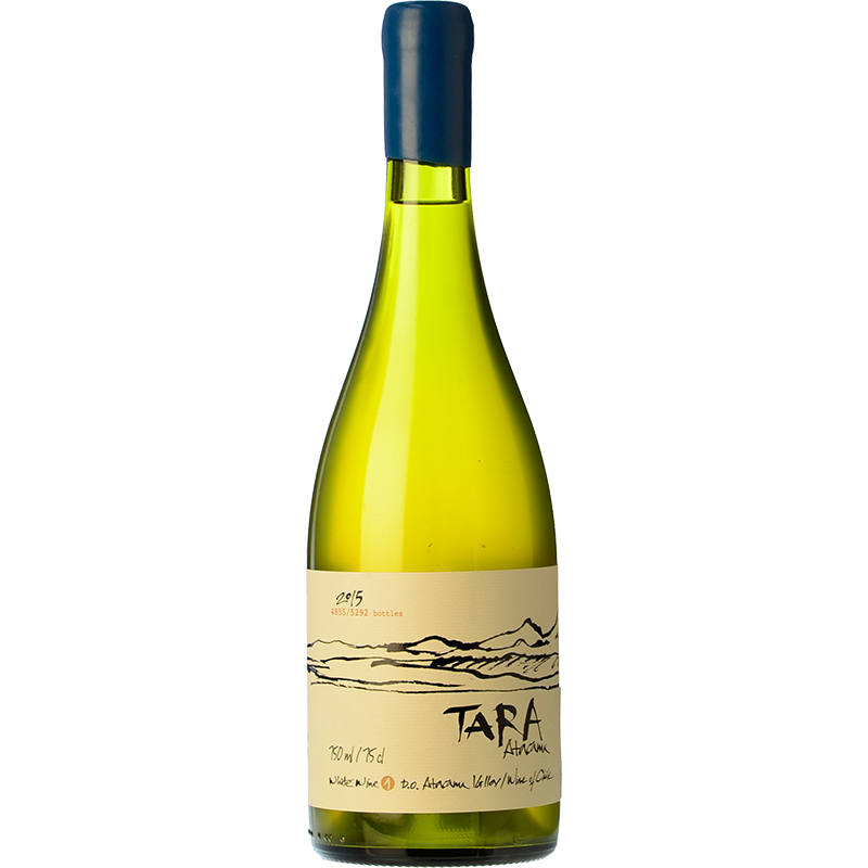 Ventisquero Tara Chardonnay 2020